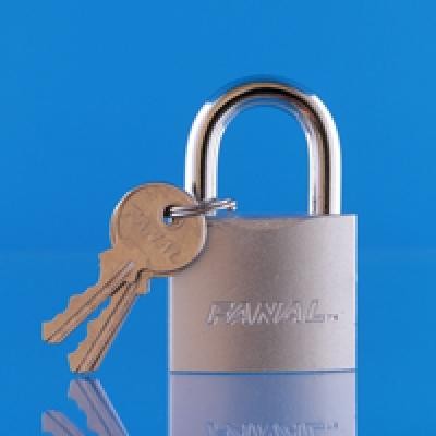 CANDADO 50MM LARGO FANAL FH50-SGL